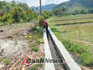 Kehadiran Babinsa di Tengah Petani Desa Watukamba Tingkatkan Semangat Gotong Royong dan Produktivitas Pertanian