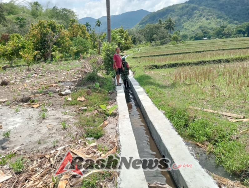 Kehadiran Babinsa di Tengah Petani Desa Watukamba Tingkatkan Semangat Gotong Royong dan Produktivitas Pertanian