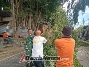 Babinsa Beng Bersama Bhabinkamtibmas dan BPBD Gianyar Sigap Tangani Pohon Beringin yang Mengancam Pemukiman