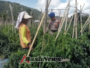 Sat Polairud Polres Bangli Sambangi Aktivitas Petani di Pesisir Danau Batur