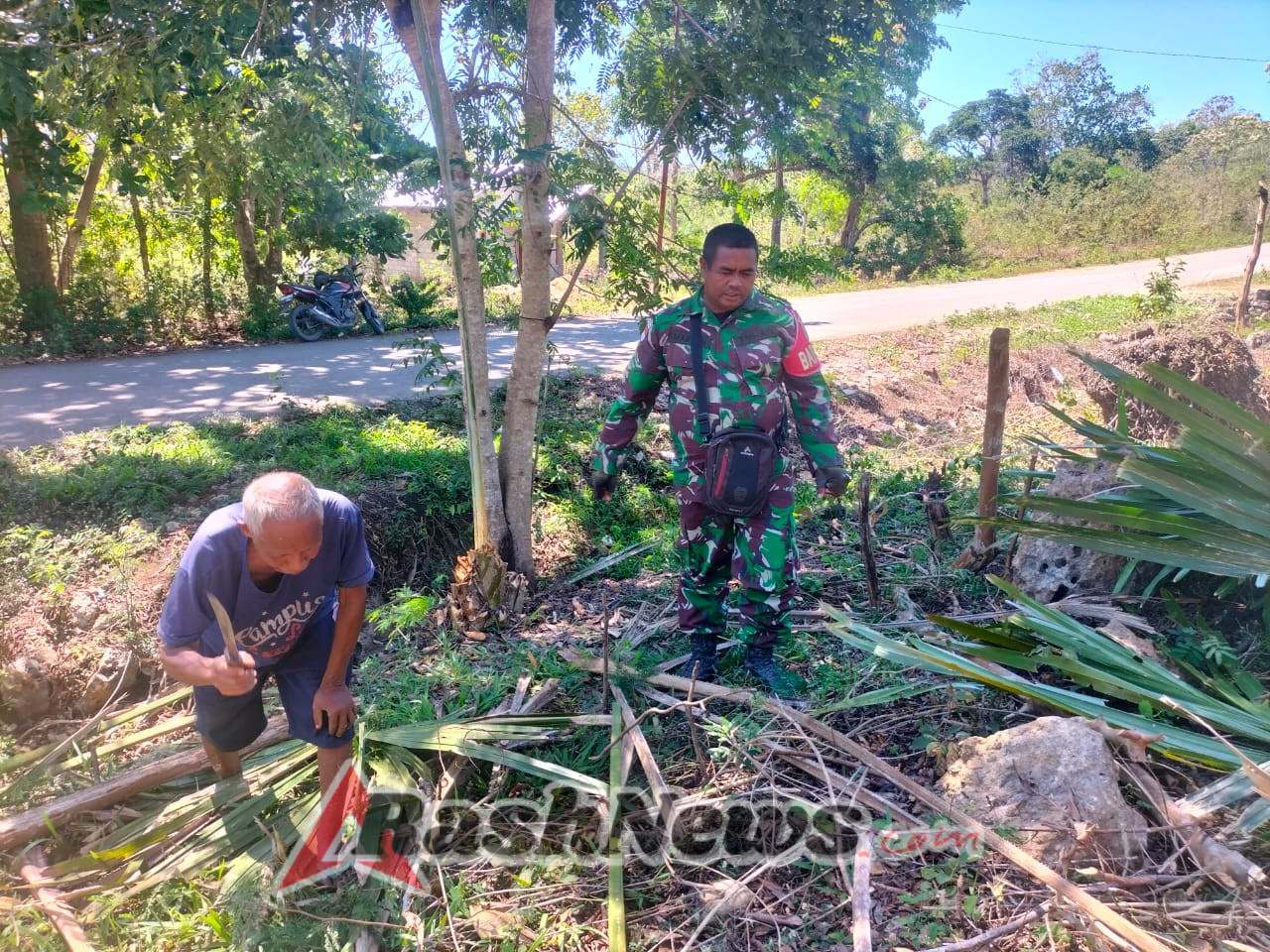 Perkuat Ekonomi Warga, Babinsa Koramil Biudufoho Bantu Buka Lahan Kebun Warga