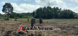 Kodim 1601/Sumba Timur Dukung Ketahanan Pangan Lewat Pendampingan Petani