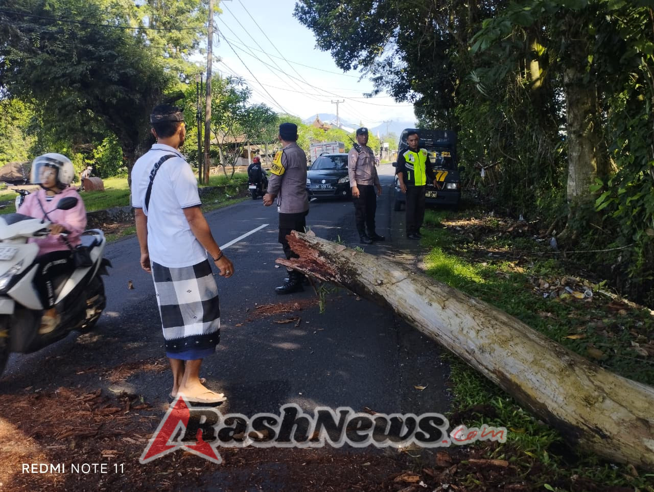 Pawas Polsek Marga Bersama Anggota Bantu Warga Evakuasi Pohon Tumbang