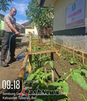 Kapolsek Kerambitan peduli dengan perawatan Tanaman bergizi Polsek Kerambitan.
