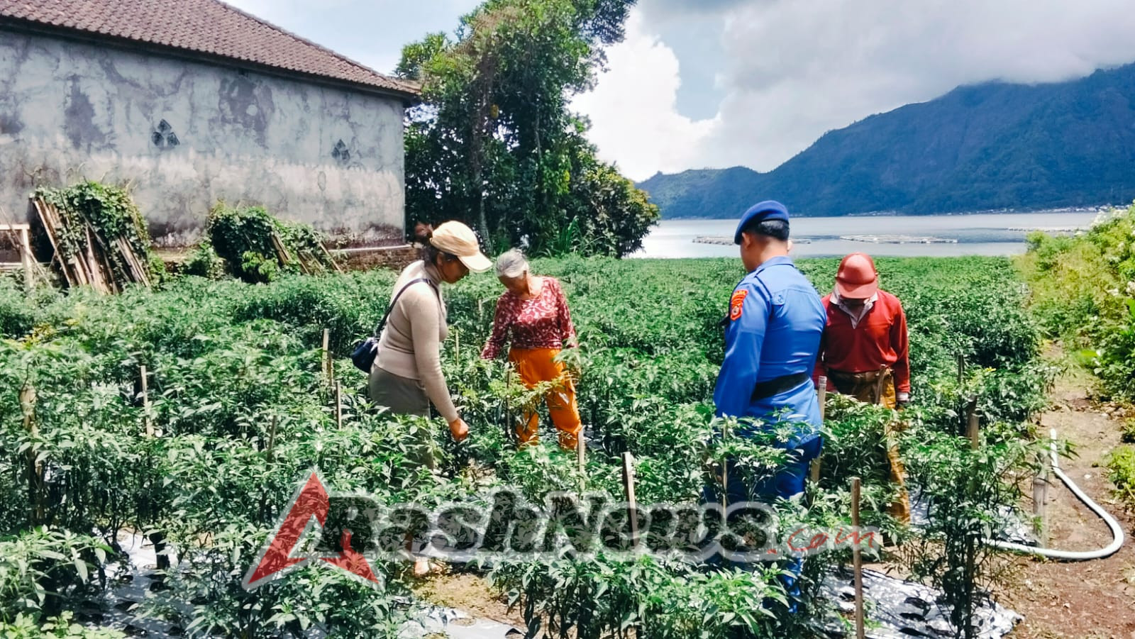 Mendukung Program Ketahanan Pangan, Sat Polairud Polres Bangli Dampingi Aktivitas Petani di Pesisir Danau Batur