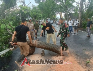 Babinsa Sembung Sigap Evakuasi Pohon Tumbang yang Timpa Car Wash di Badung