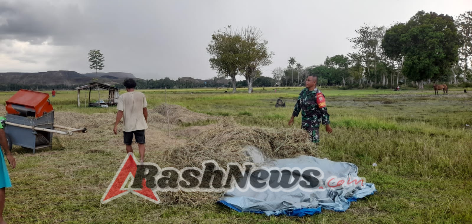 Perkuat Ketahanan Pangan, Babinsa Turun ke Lahan di Desa Patawang