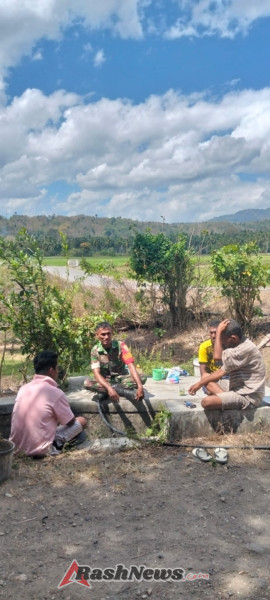 TNI AD Hadir di Tengah Masyarakat: Pamwil dan Komsos Babinsa Desa Ranokolo Sukses