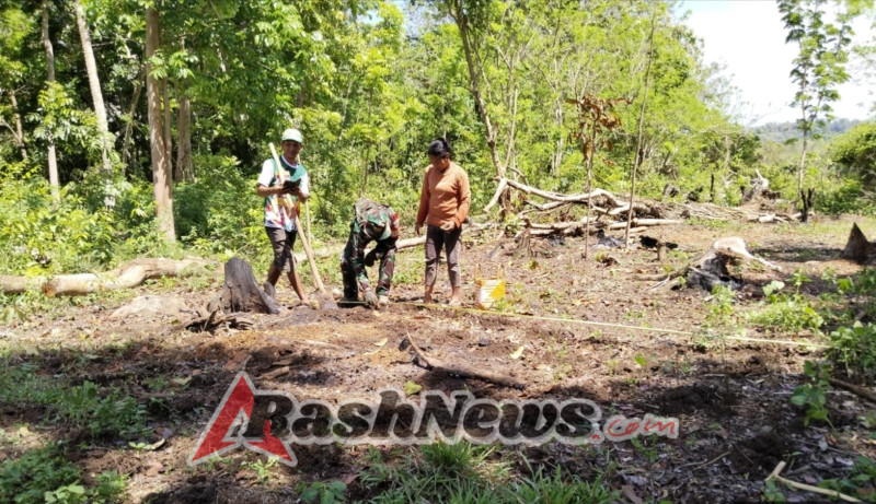 Wujud Dukungan Ketahanan Pangan, Babinsa Lembor Bantu Penanaman Jahe di Kombek