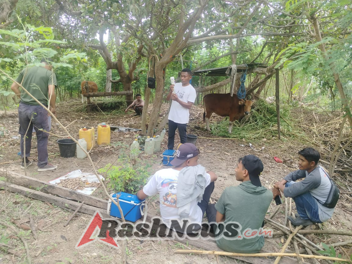 Danramil 1604-03 Naikliu Dukung Kesehatan Hewan di Kupang