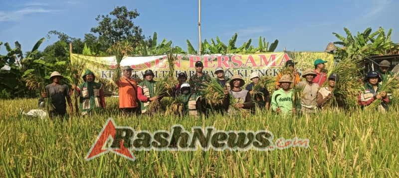 Gerakan Panen Padi Bersama, Danramil Klungkung Ajak Bersatu Kuatkan Hanpangan Wilayah Menuju Swasembada Pangan Nasional