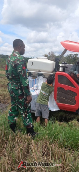Sinergi Babinsa dan Petani di Sumba Timur Dorong Pertanian Modern
