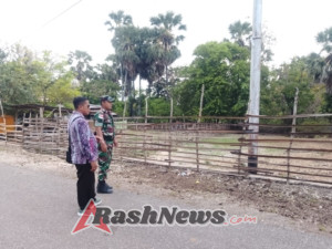 Babinsa Batutua Tinjau Lahan Koperasi Desa Merah Putih di Oelseli