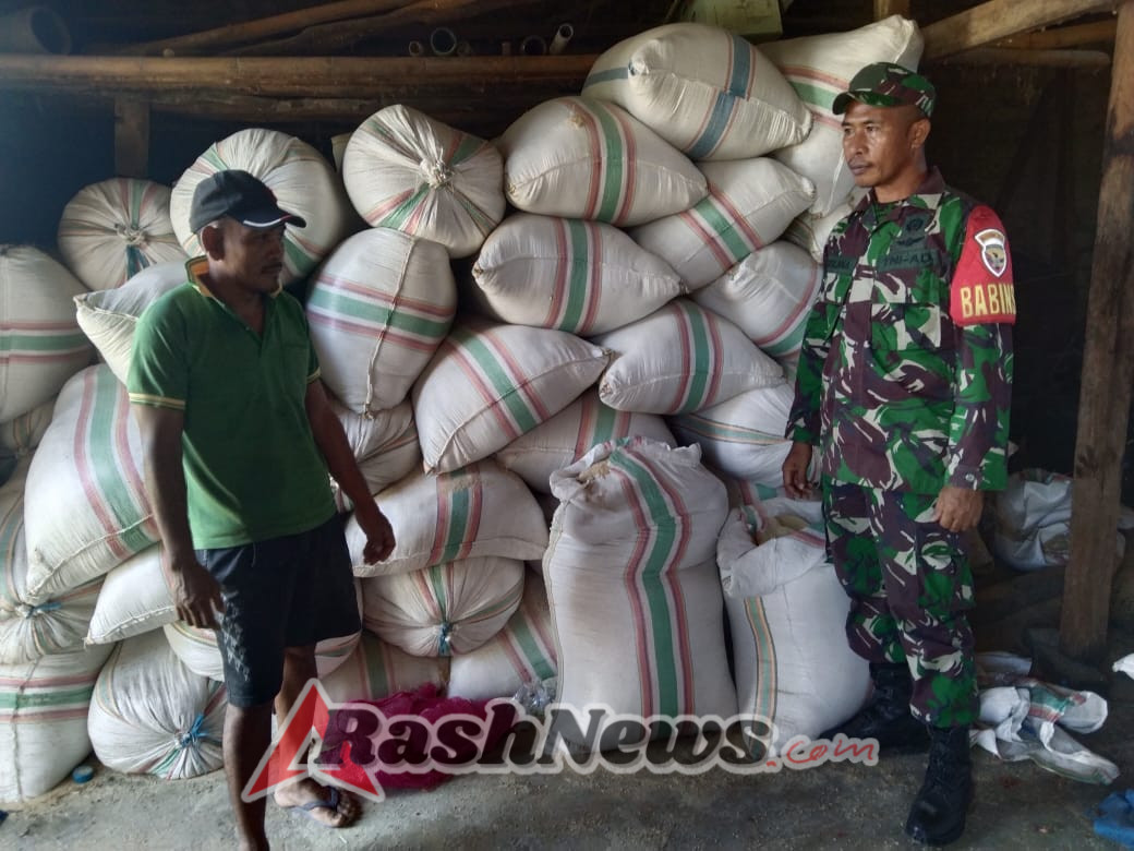 TNI Hadir di Tengah Petani: Babinsa Koramil 1612-02/Reok Dorong Stabilitas Pangan dan Silaturahmi