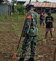 Giat Hanpangan, Babinsa Lewa Kawal Petani Tanam Padi Ladang di Lahan 30 Are
