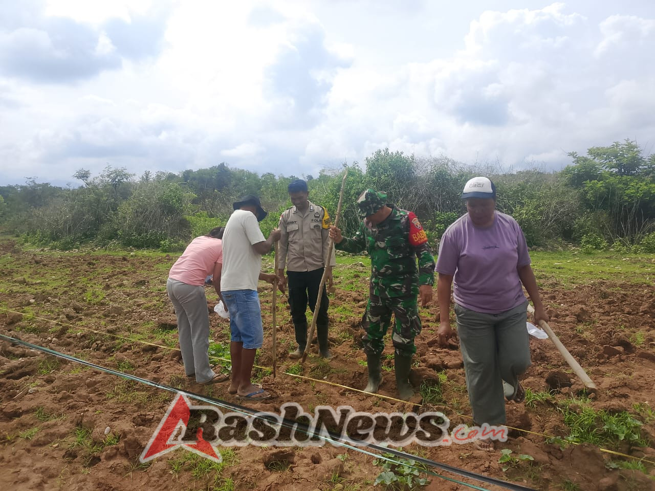 Upaya Mendukung Ketahanan Pangan Desa, Babinsa Bersama Pemerintah Desa dan Warga Tanam Jagung