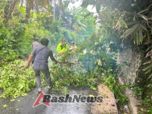 Polsek Banjarangkan Tangani Pohon Tumbang di Jalan Tusan–Banjarangkan.