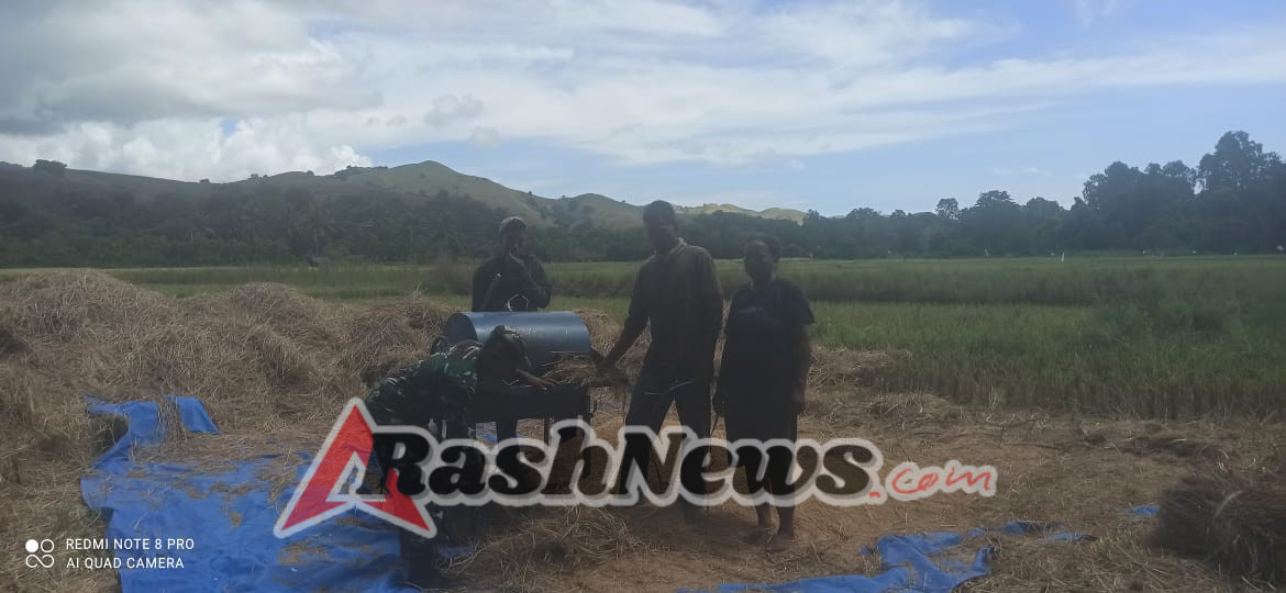 Babinsa Koramil 1602-04/Maurole Hadir di Tengah Masyarakat untuk Dukung Produksi Padi