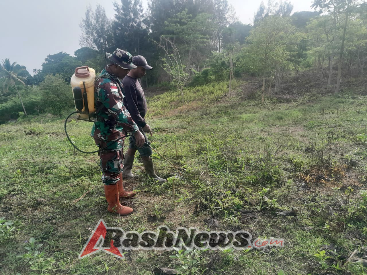 Basmi Gulma, Anggota Satgaster Pos Halibete 2 Bantu Petani Siapkan Lahan Pertanian