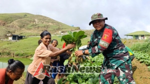Dukung Kemandirian Pangan, Pos Fohuk Laksanakan Penyuluhan dan Panen Sayur di Desa Loonuna