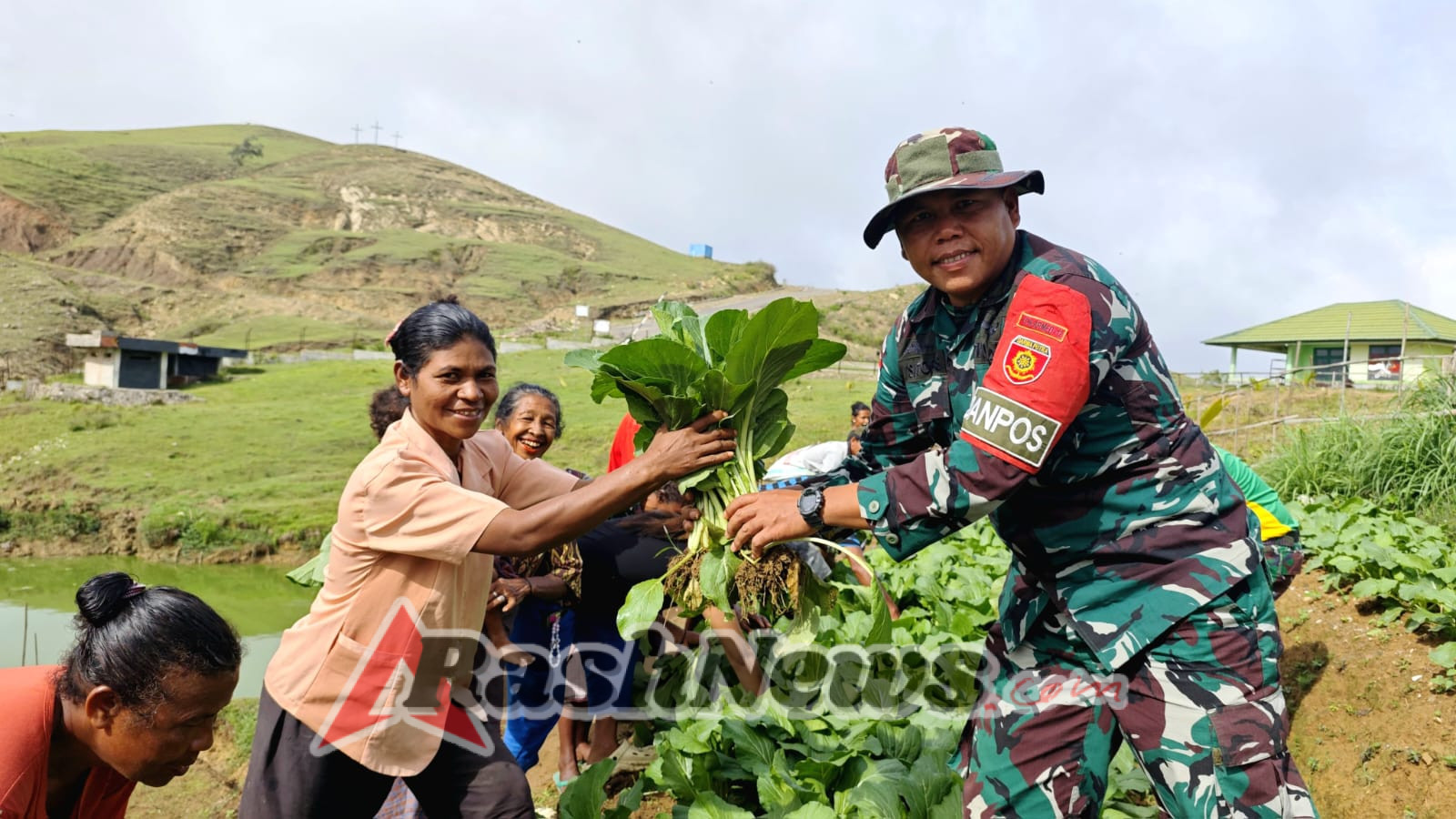 Dukung Kemandirian Pangan, Pos Fohuk Laksanakan Penyuluhan dan Panen Sayur di Desa Loonuna