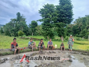 Babinsa Kodim 1613/Sumba Barat Peduli Pertanian di Desa Kabukarudi