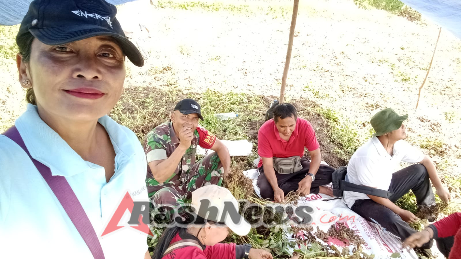 Pendampingan Melekat Disektor Pertanian, Serka Dewa Putu Carma Turun Sawah Dampingi Pengubinan Kacang tanah Di  Subak Semeagung