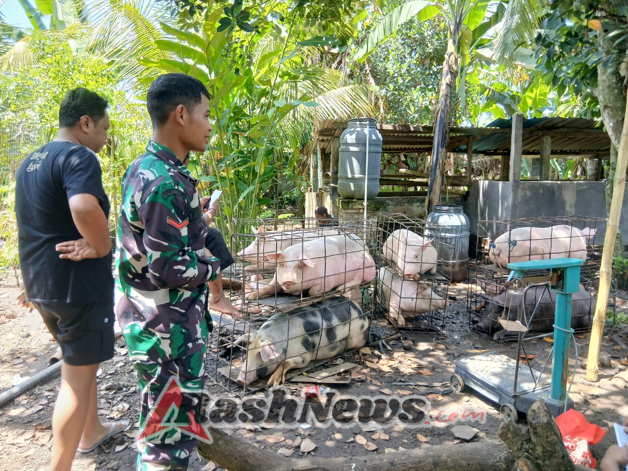 Kodim 1617/Jembrana Perkuat Ketahanan Pangan Lewat Pendampingan Penjualan Ternak BUMDes