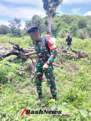 Monitoring Wilayah, Babinsa Tabundung Turun Langsung Bantu Warga Melakukan Penyemprotan