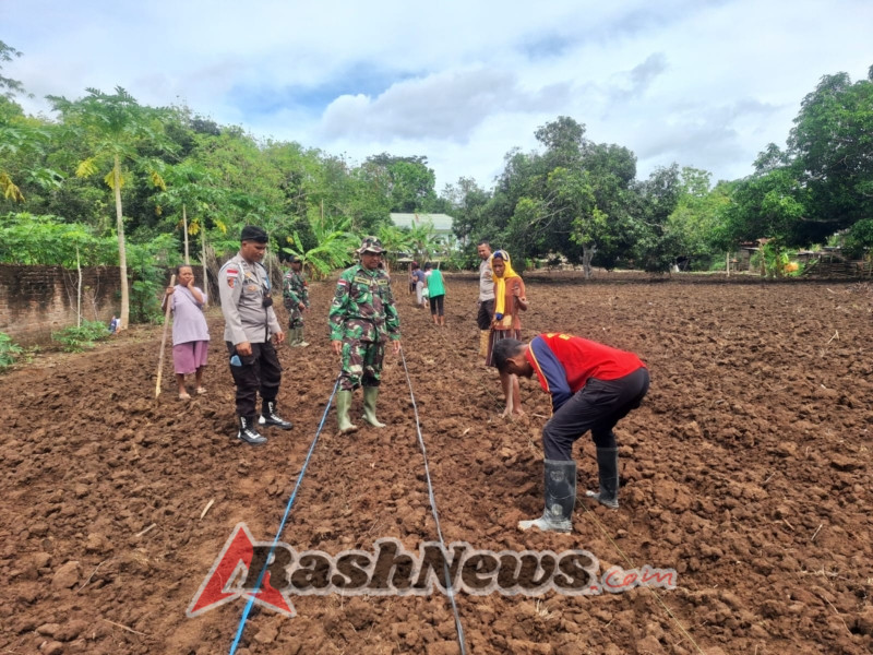 Kolaborasi Satgaster Pos Kabuna, Babinsa dan Bhabinkamtibmas Dampingi Petani Tanam Jagung