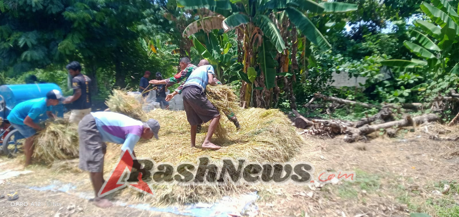 Wujud Kepedulian, Babinsa Kanatang Turun Langsung Bantu Petani di Kelurahan Temu