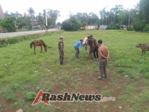 Sinergi Babinsa dan Petugas Peternakan Tingkatkan Kesehatan Ternak Masyarakat