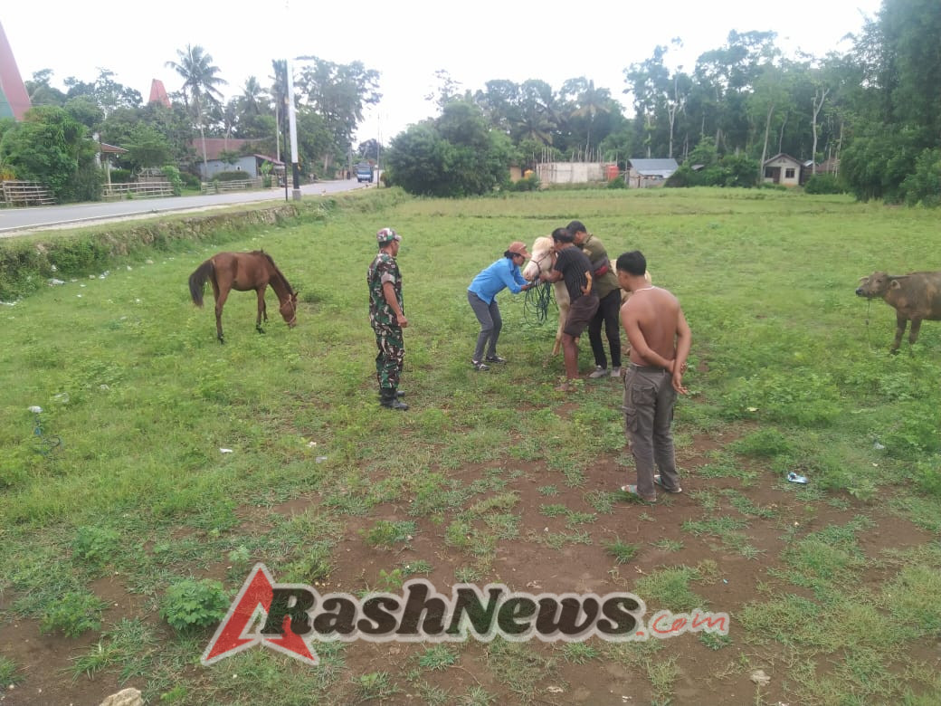 Sinergi Babinsa dan Petugas Peternakan Tingkatkan Kesehatan Ternak Masyarakat