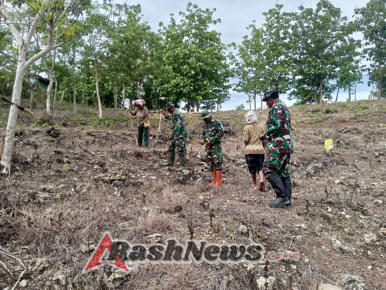 Berikan Kontribusi Nyata, Satgaster Pos Halibete I dan 2 Bantu Petani Tanam Jagung