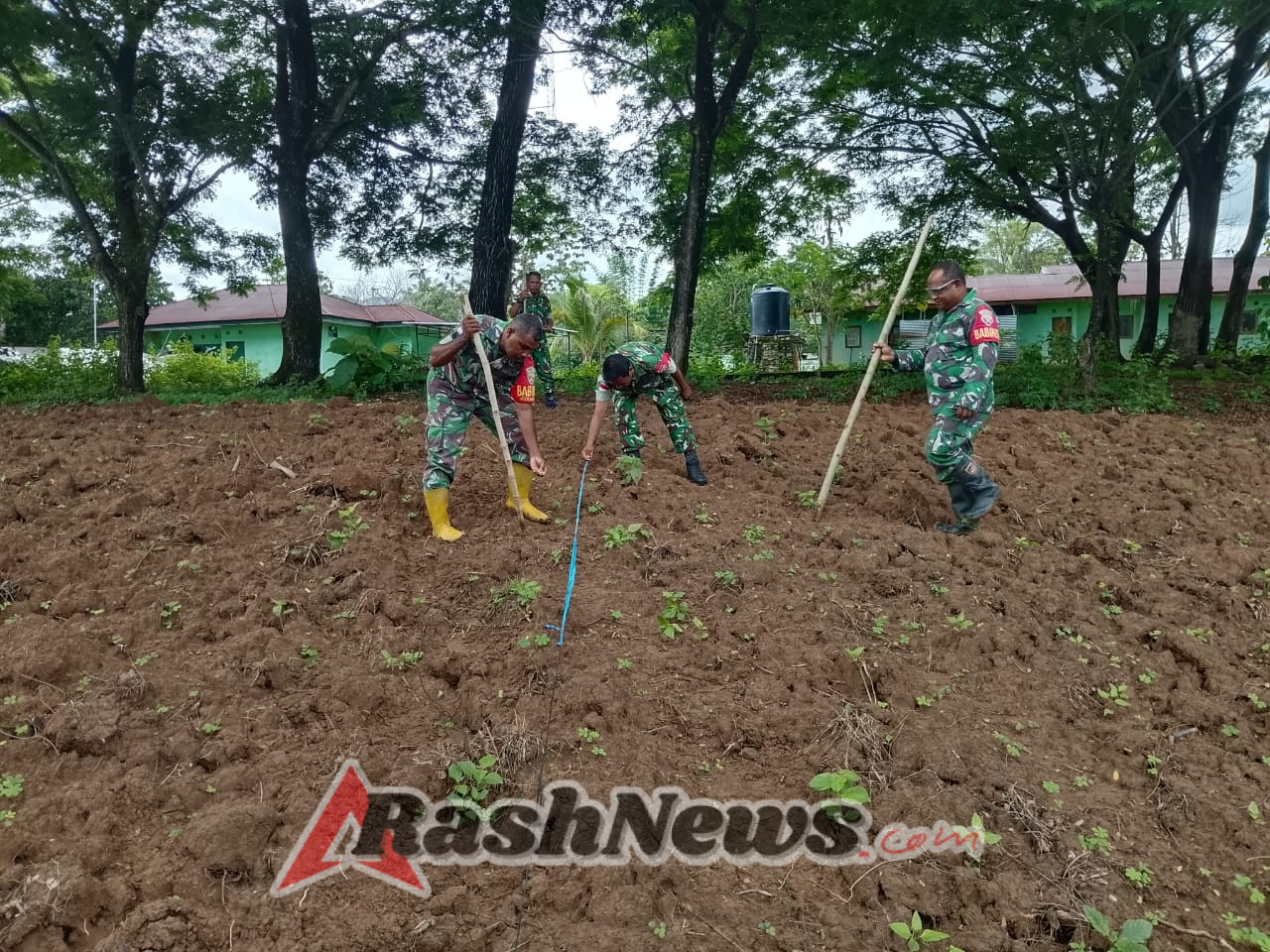 Dukung Program Ketahanan Pangan, Koramil Wedomu Sulap Lahan Kosong Jadi Produktif