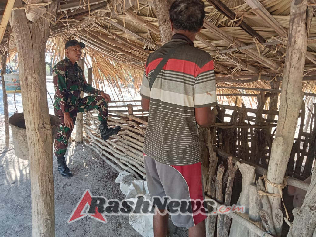 Tingkatkan Kesejahteraan Warga, Babinsa Serda Basuki Ajak Peternak Babi Kembangkan Usaha