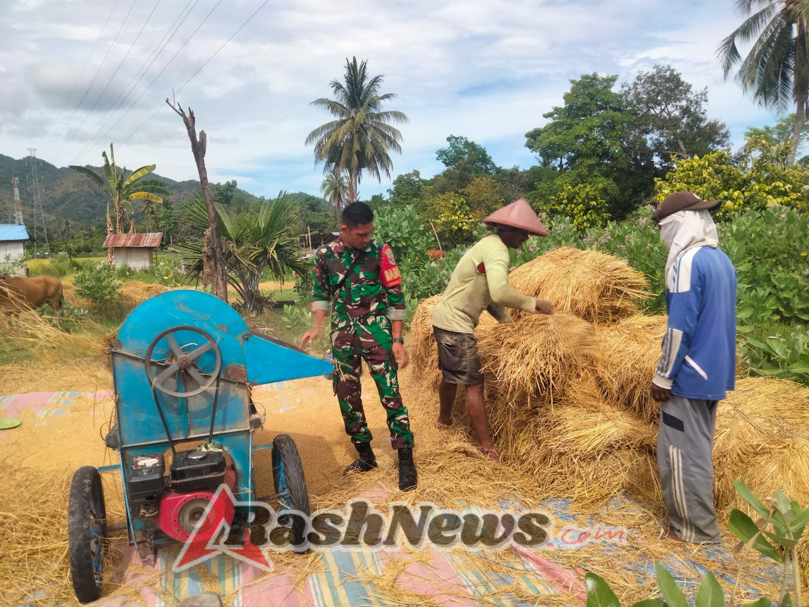 Babinsa Aktif di Wilayah Binaan, Pengamanan dan Pendampingan Han Pangan Berjalan Lancar