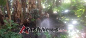 Babinsa Omesuri dan Warga Balauring Perbaiki Pipa Air Bersih Secara Gotong Royong