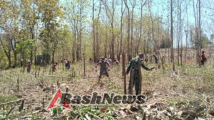 Babinsa Desa Madar Bantu Warga Bersihkan Kebun, Perkuat Kebersamaan di Pantar