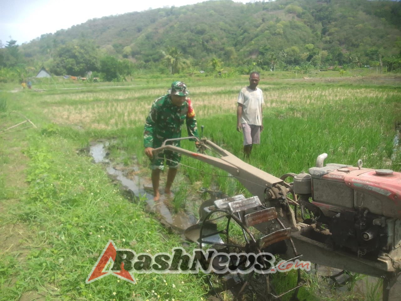 TNI Bersama Petani: Babinsa Alor Timur Laut Turun Tangan Bajak Lahan