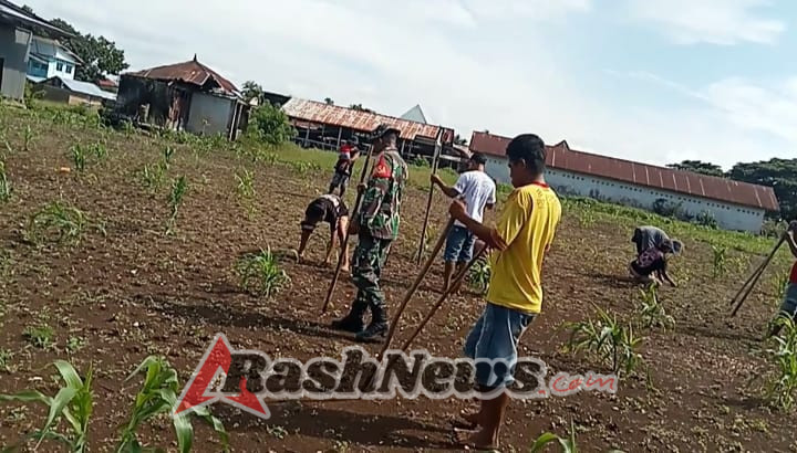 Perkuat Ketahanan Pangan, Babinsa Lewa Arahkan Warga Tanam Padi Ciherang