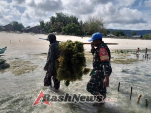 Dorong Produktivitas Warga, Babinsa Ingatkan Pentingnya Penanaman Bibit Baru