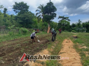 Babinsa Serda Beni Sandli Apresiasi Pemuda Manfaatkan Lahan Kosong Untuk Berkebun