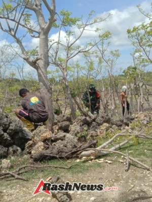 Babinsa Koramil 1627-03 Dampingi Petani Siapkan Lahan Persawahan