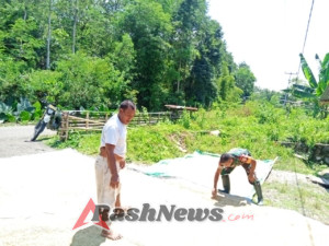 Babinsa Tabundung Perkuat Ketahanan Pangan Lewat Pendampingan Pasca Panen