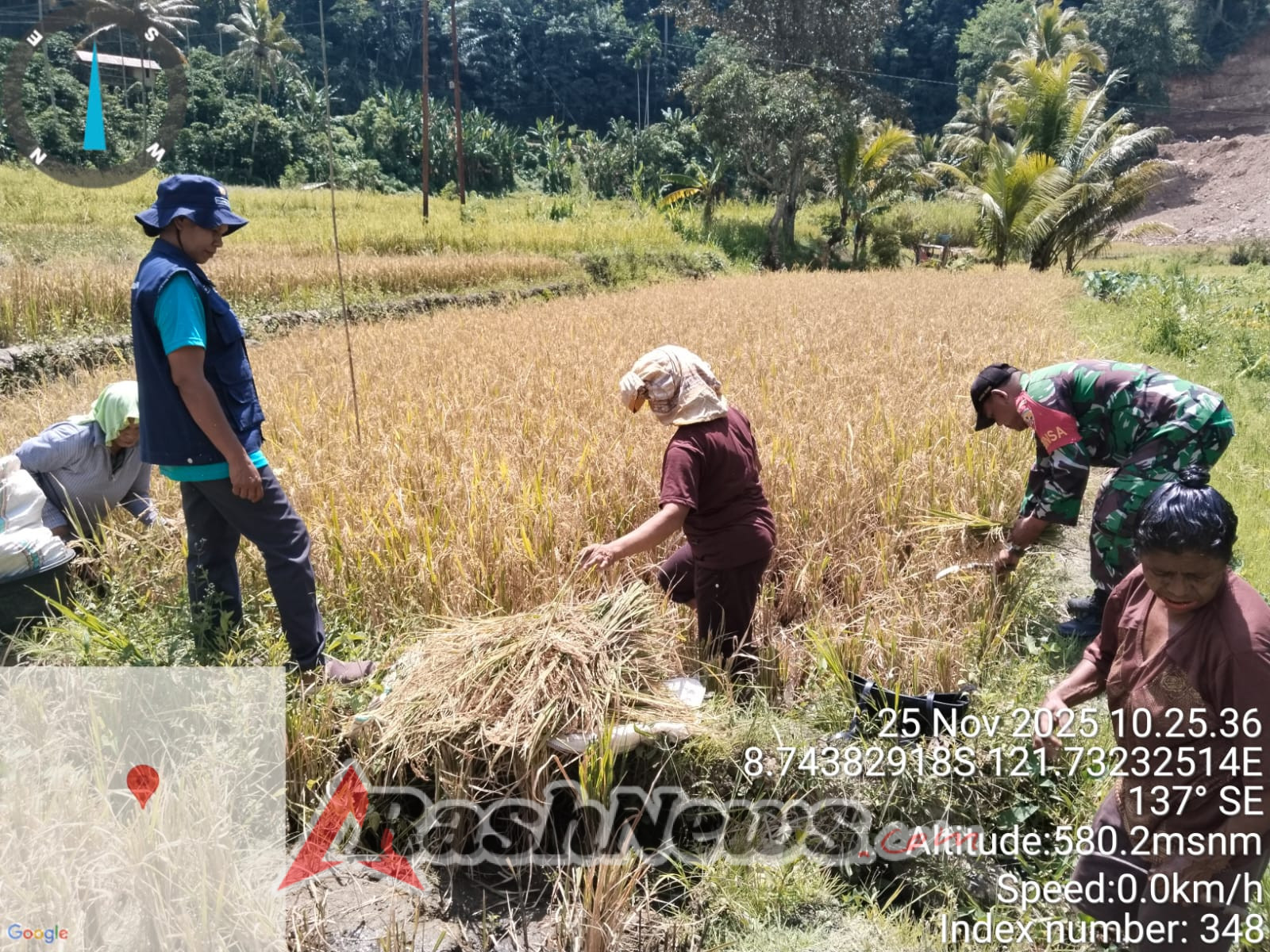 TNI-Rakyat Bersatu: Babinsa Koramil 1602-03 Dampingi Petani Desa Dile Pasca Panen