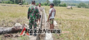 Siaga Musim Tanam: Koramil 05/Panite Pastikan Progres Opla Saluran di Desa Mio