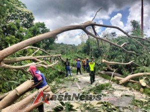 Aksi Sigap Babinsa Kodim 1613 Kembalikan Akses Jalan di Mamboro
