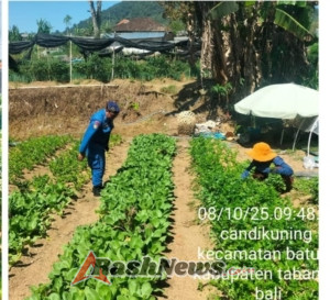 Sat Polairud Polres Tabanan Sambangi Petani di Bedugul, Perkuat Keamanan dan Dukung Ketahanan Pangan
