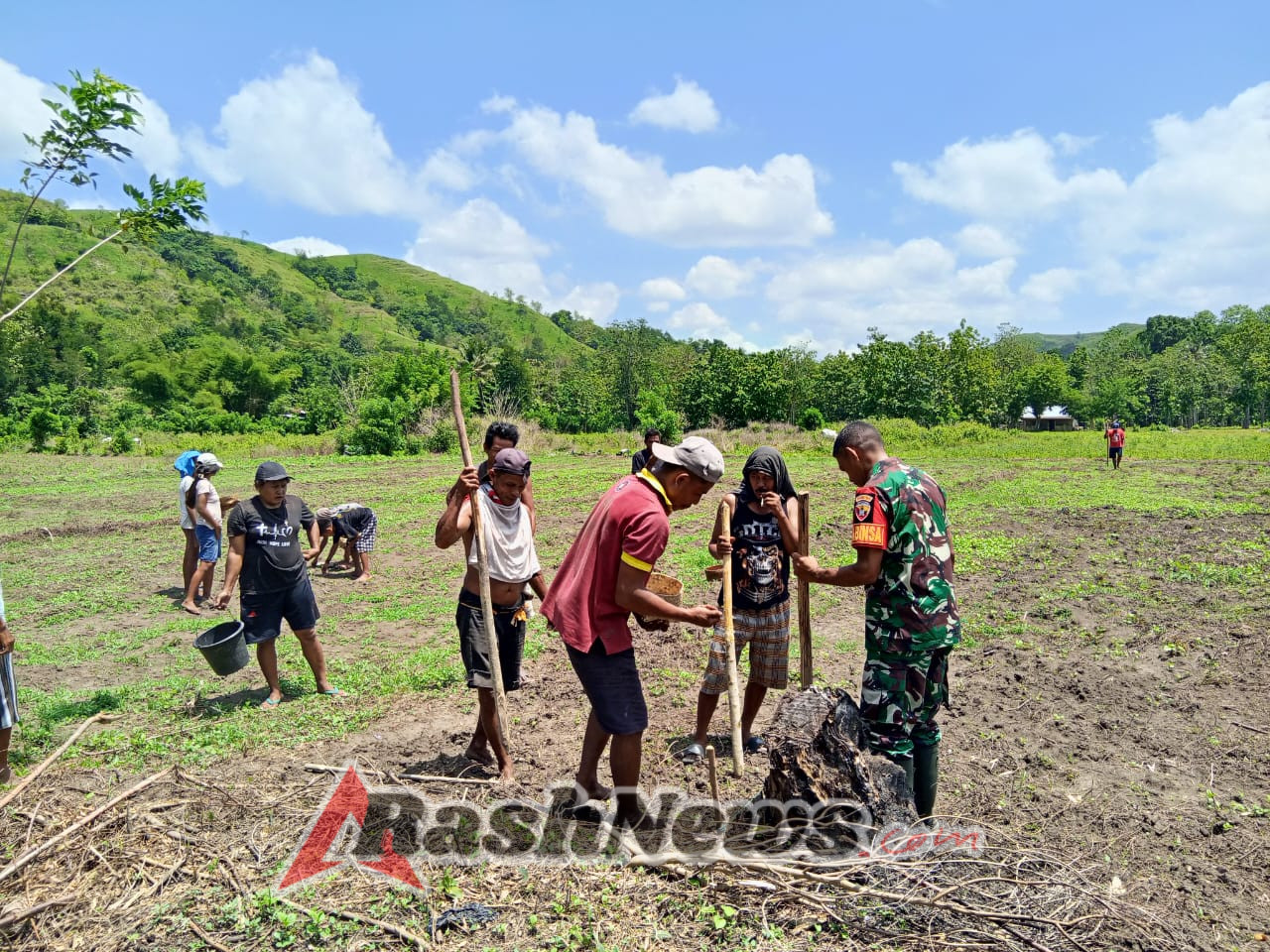 Sinergi TNI dan Petani: Babinsa Koramil 04/Tabundung Aksi Tanam Padi di Karita